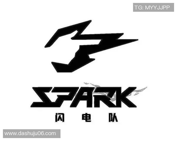 杭州极限运动队现状分析与发展前景探讨 杭州极限运动队现状分析与发展前景探讨