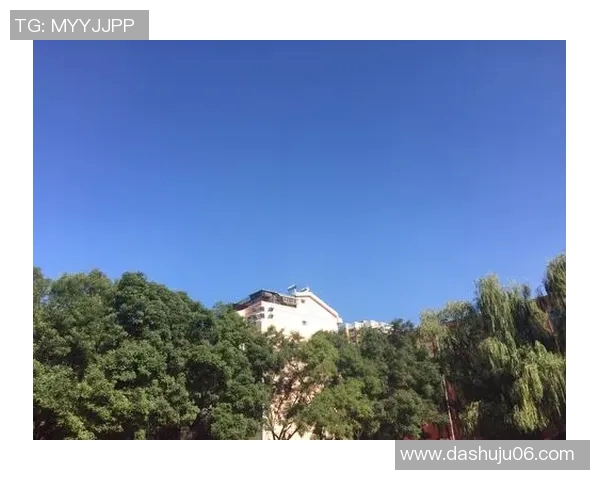 飞盘之路：刘磊如何在运动与人生中找到自我与激情