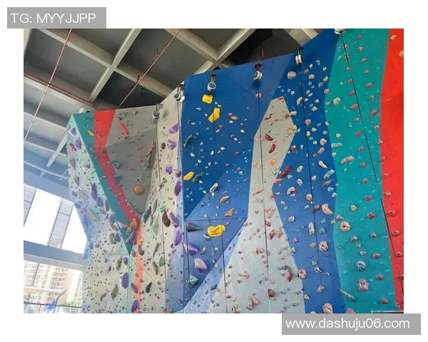 杭州攀岩队的力量与技术分析探索攀岩运动的未来发展方向