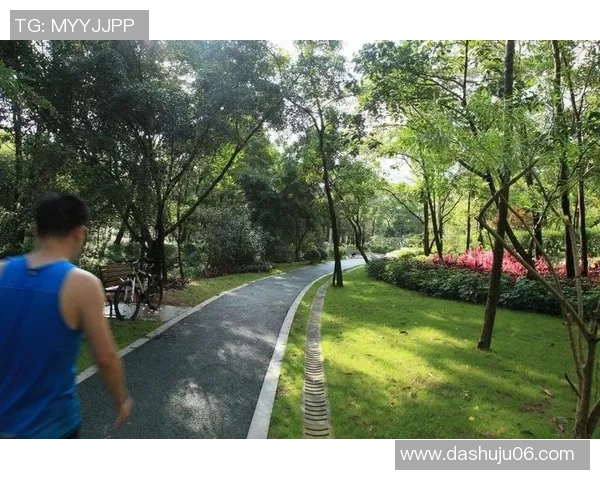 深圳极限运动队如何引领节奏革新与未来发展新趋势